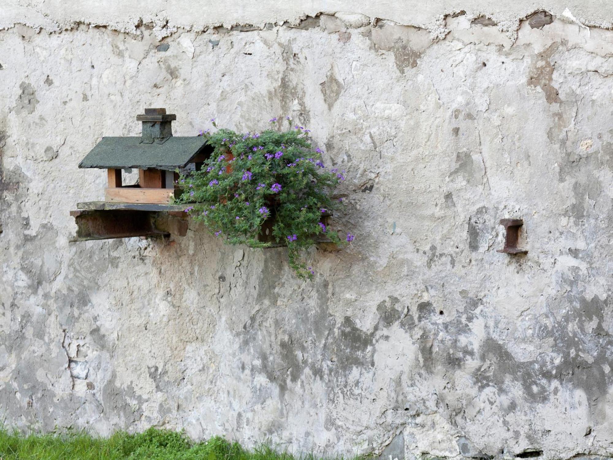 Nice Apartment In Allrode With Private Terrace エクステリア 写真